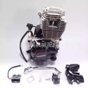 Zs172Fmm-3A Cb250-F 250Cc Zongshen Motosiklet Mühərriki Yığımı