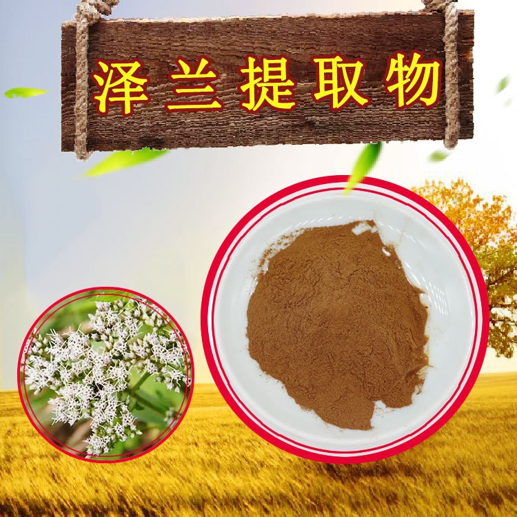 泽兰提取物10:1品质把控泽兰浓缩粉现货包邮泽兰粉