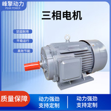 全新电机三相异步电动机YE3系列电机15KW-4级纯铜变频