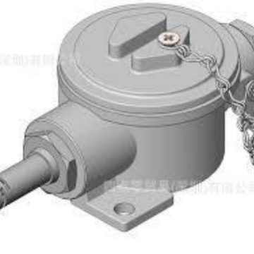 Radwell拉德韦尔温度传感器 21-20101、21-20全系列  可议价