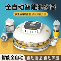 工場直販、越境専用、全自動孵卵器、ひよこ、鳥の卵、鶏卵、小型円盤型孵卵器、越境で人気販売中