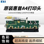 原装惠普HPA4喷头高速彩色喷墨大宽幅打印头纸碗纸袋纸杯打印头