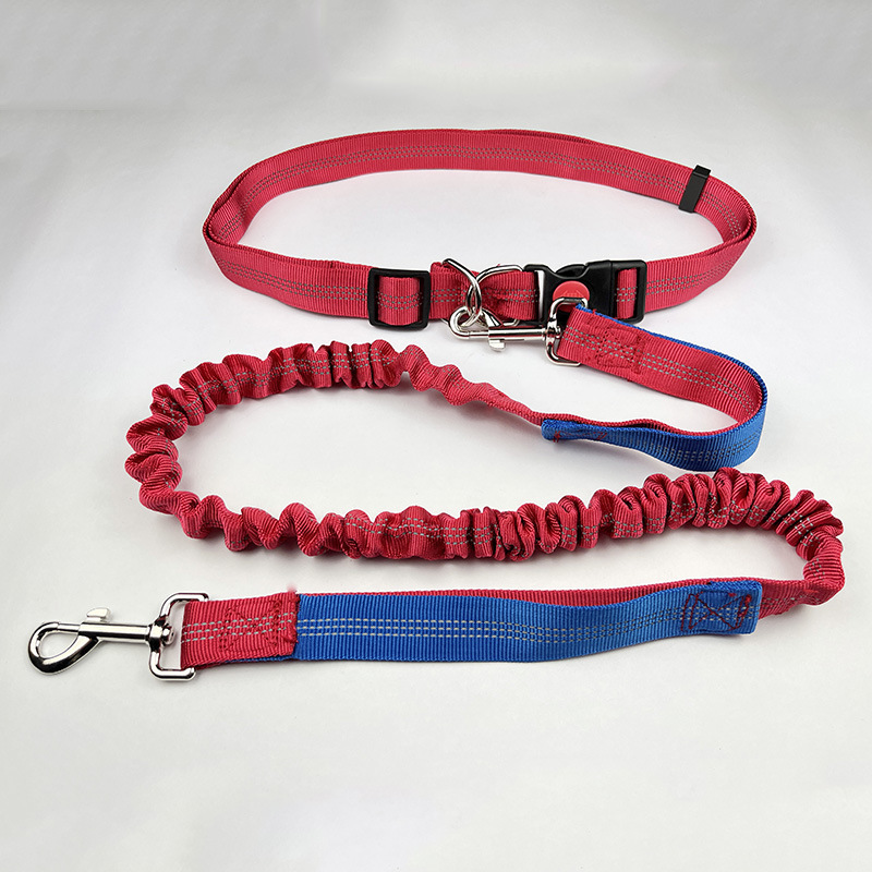 사파이어 블루와 밝은 레드