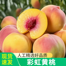 �ʺ��S�����r����5�ﮔ��ˮ���Fժ�����S�������S��ë�Ҵ�����]3
