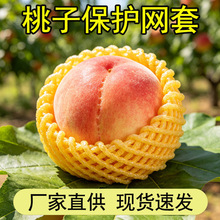 水蜜桃泡沫水果网套epe珍珠棉橙子梨包装加厚防震防压撞保护缓冲