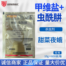 �����𱣠��׾S�}�x���¼װ������S���ر������}���{��x���rș