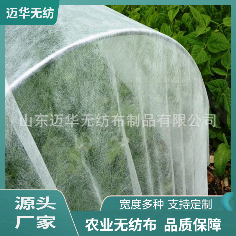 厂家直供农业无纺布PP纺粘无纺布白色保湿育秧无纺布农用丙纶布
