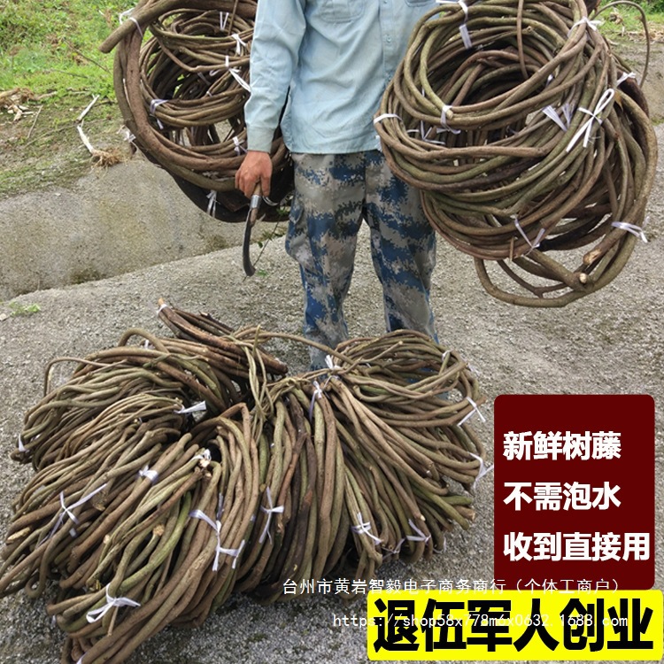 树藤枯藤婚庆装饰红山藤挂壁室内造景藤条葡萄叶干树枝山藤条绢花