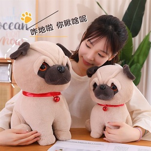 �ɐ�ɳƤ������С����ë�q���Ů�������޶Y��˸�Ȯ�����涨 ��
