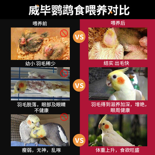 Parrot bird food black phoenix tiger skin peony parrot feed bird food mixed grain yellow millet shelled millet wholesale