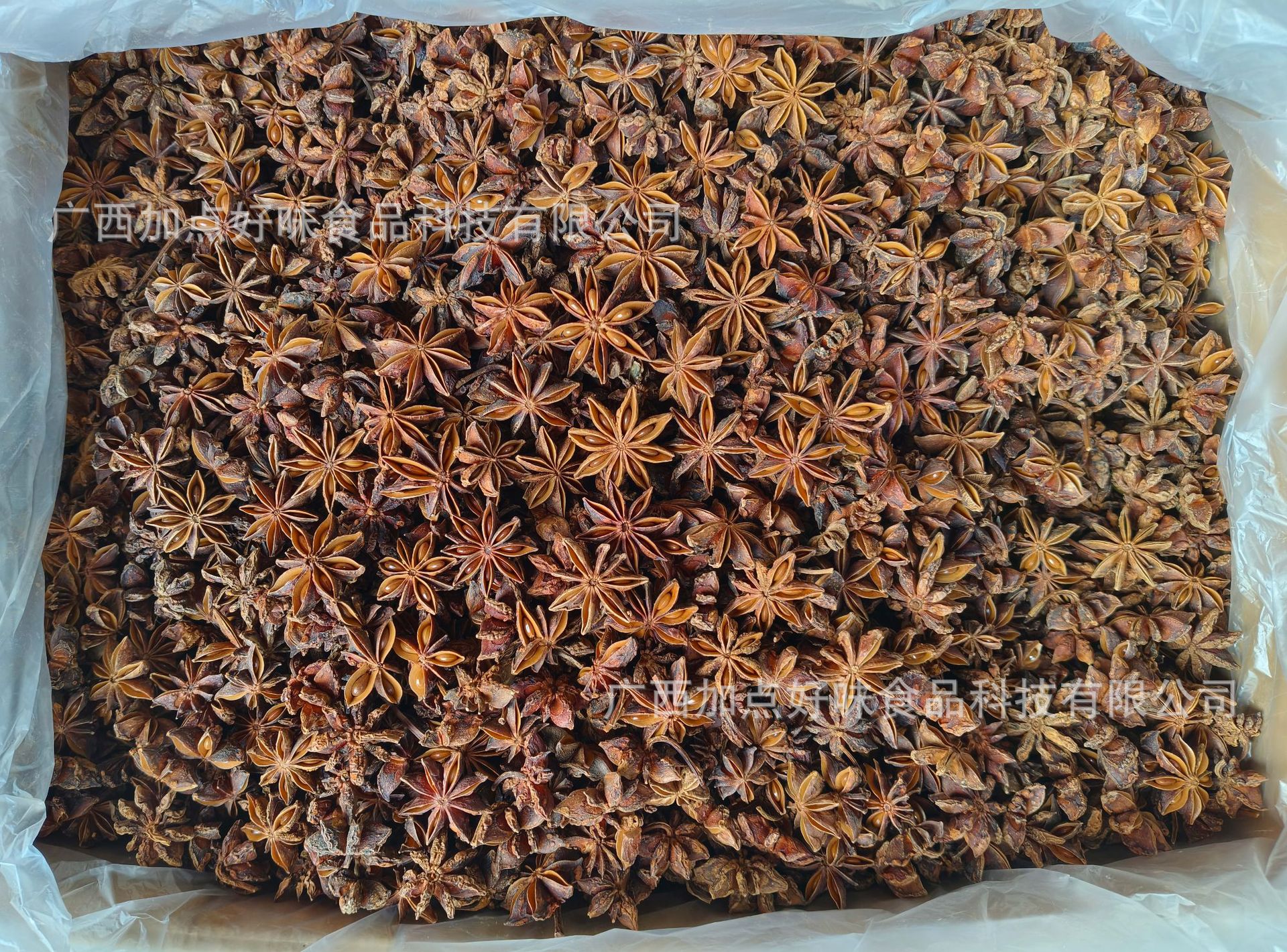 줄기가 있는 큰 붉은 스타 아니스 0.5kg [체에 걸러낸 것, 10kg 25위안/진]