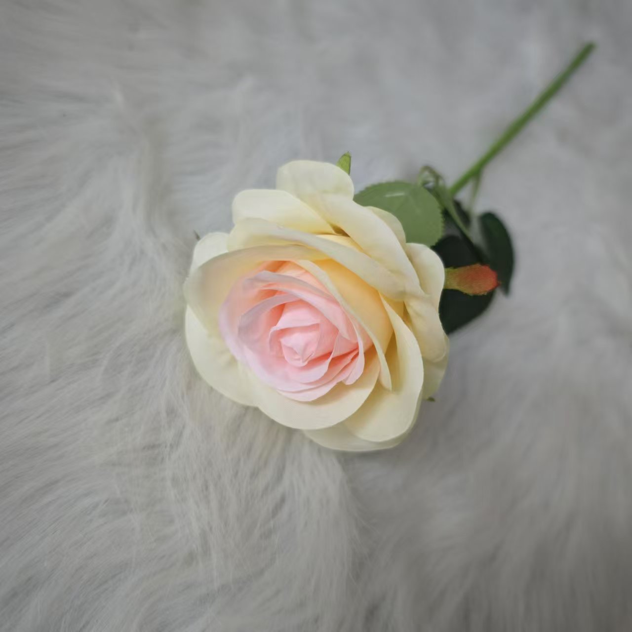 연노랑