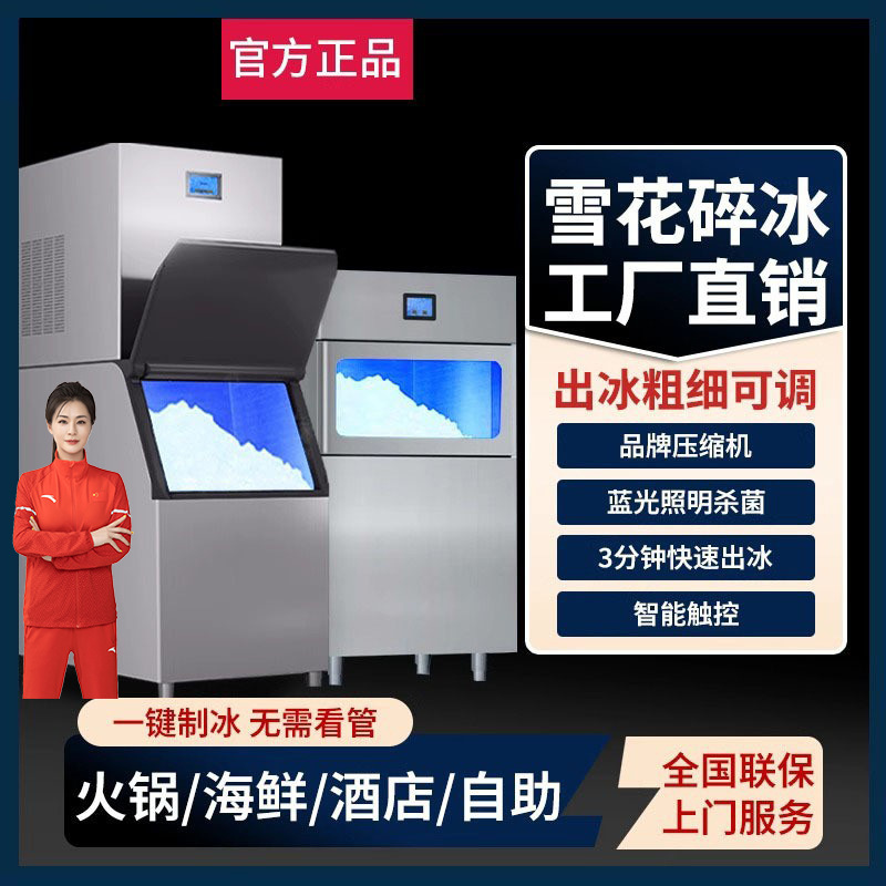Delingshi Snowflake Ice Machine Commercial 150kg Separates Seafood Hot Pot Restaurant Cooking Shop Granular Ice Crusher