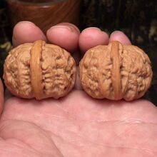 ����ת{�ӌ�܊��������ĥ�P�{���^�����^��ñ��������ְѼ����^