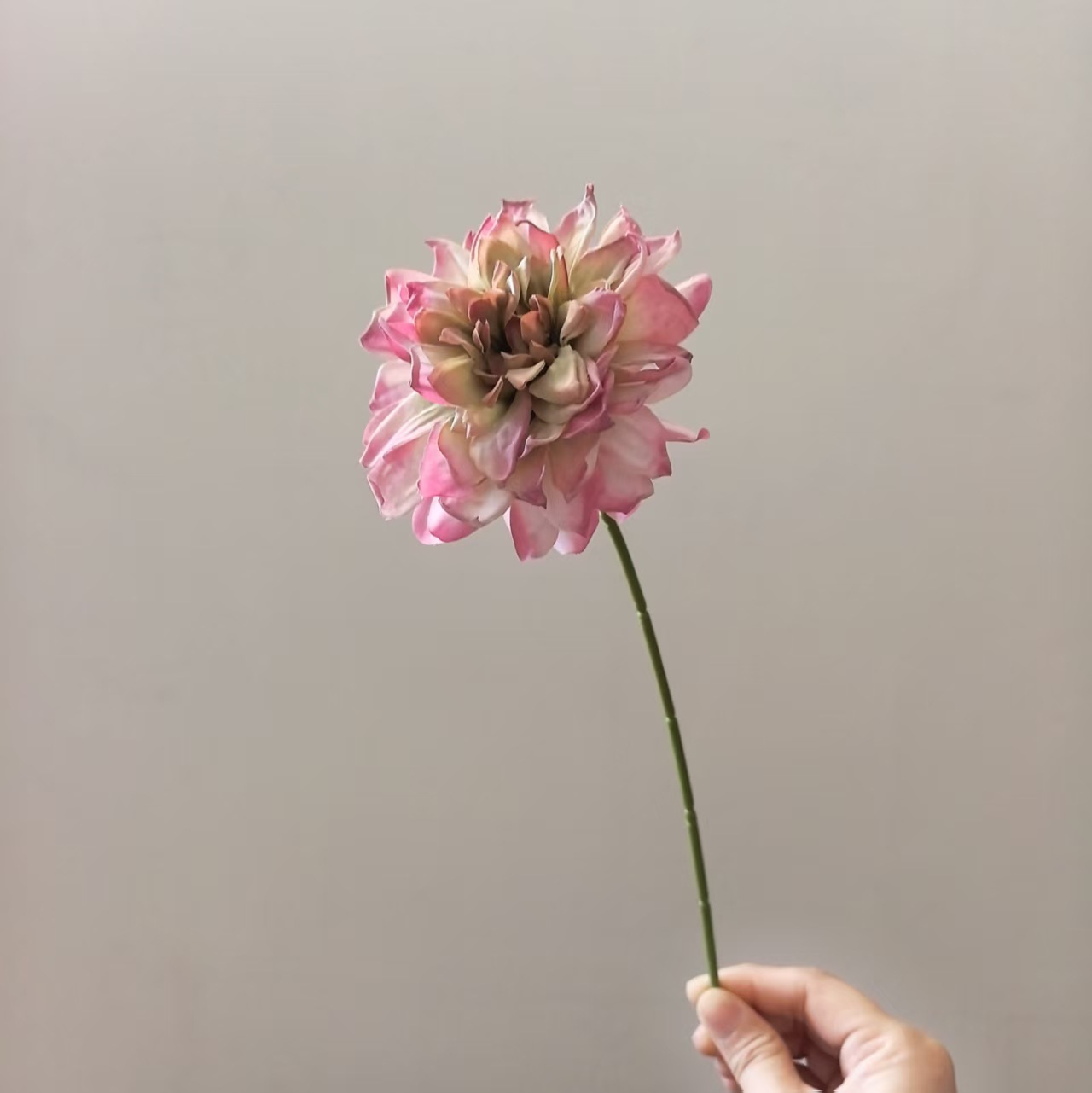 진한 핑크