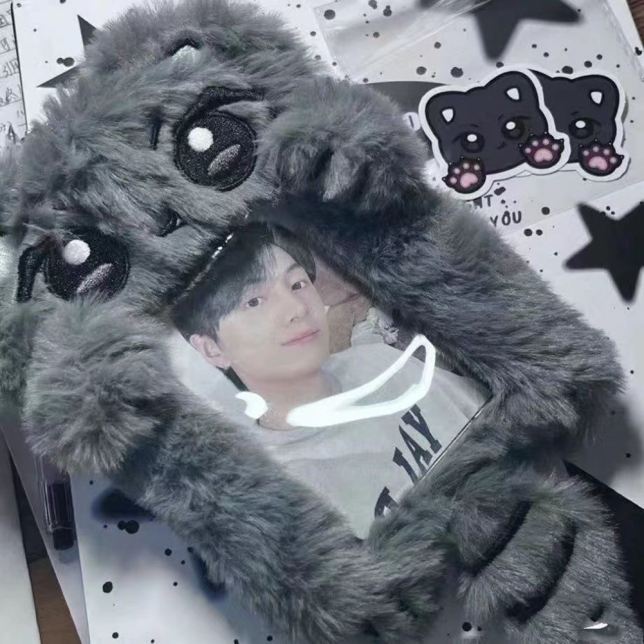 Rabbit Star Border Collie Poodle Plush Dog Small Card Holder Transparent Card Case Meal Card Bus Card Protective Cover