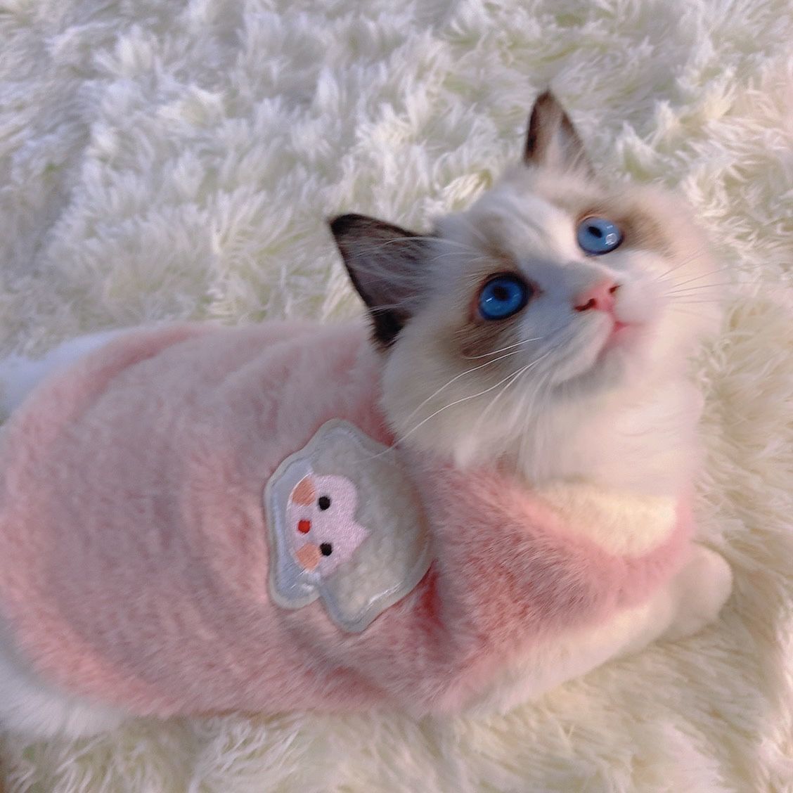 Ropa de gato invierno cálido anti-pelusa marioneta azul gato lindo mascota gatito pequeño perro ropa para mascotas