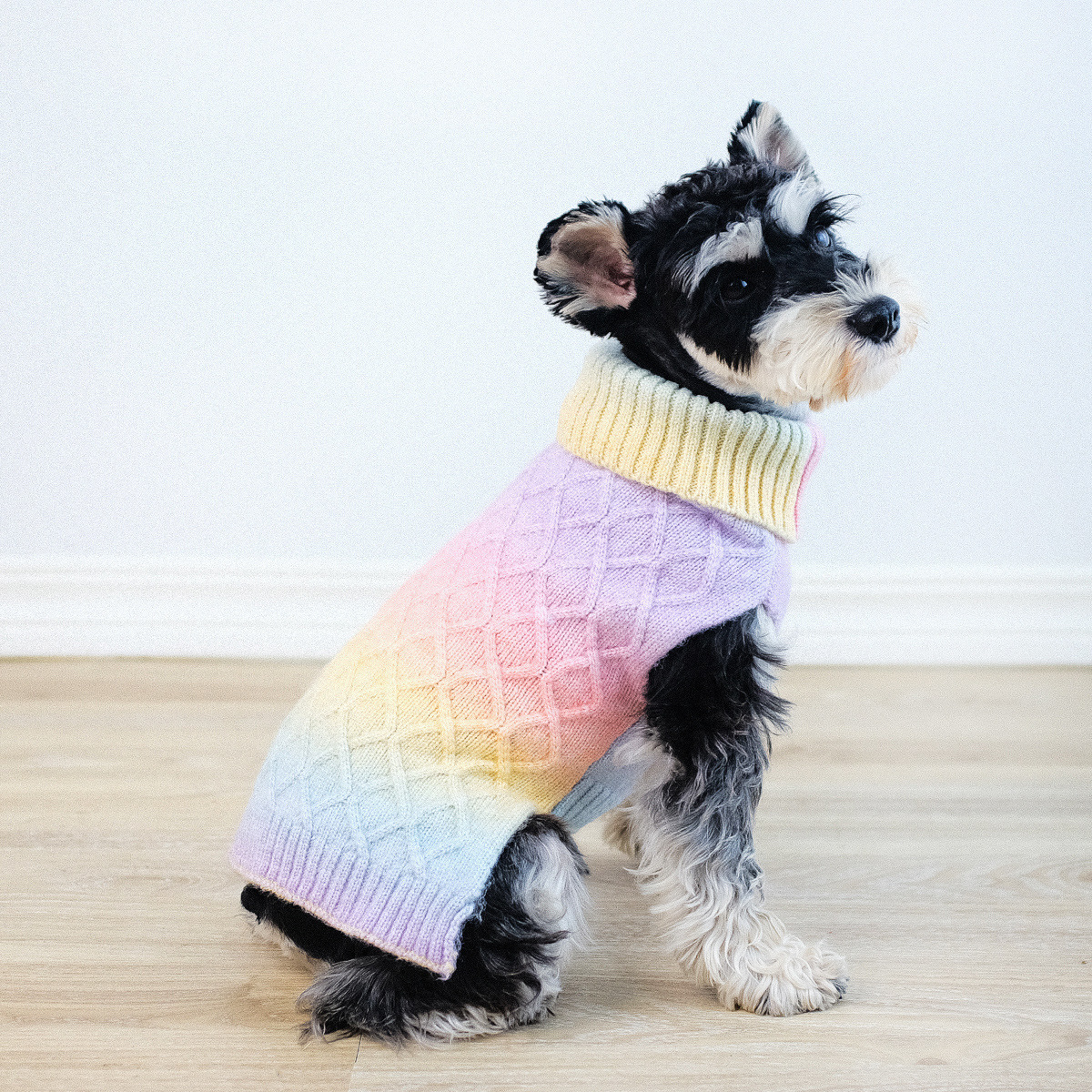 Nueva ropa transfronteriza para mascotas de otoño e invierno, suéter simple de cuello alto con gradiente de arco iris para perros, suéter para mascotas para gatos y perros