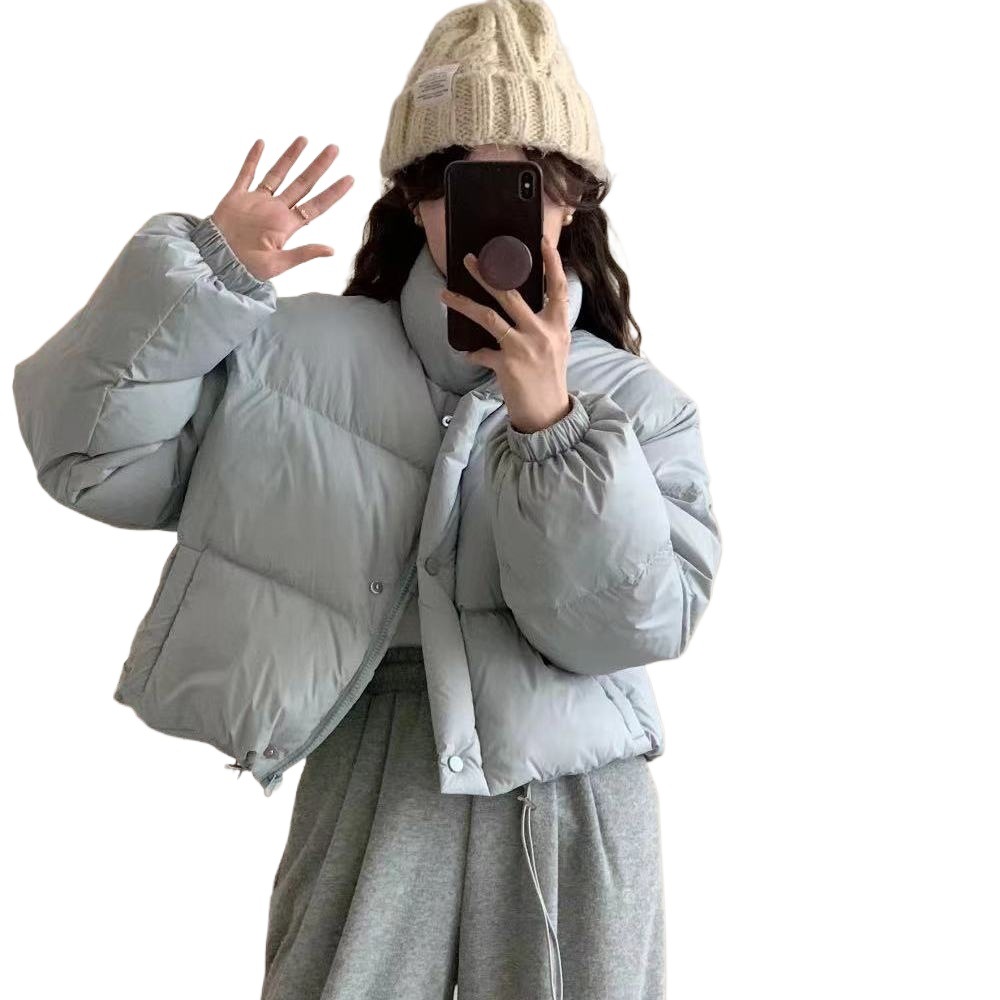 Europese versie 90 Witte Eendendons Winter Nieuw Koreaans Dongdaemun Origineel Pufferjack met Opstaande Kraag Warme Jas voor Dames_voghion.com
