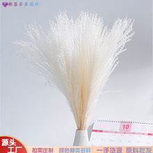 干花大拂尘硬毛拂尘花束ins风婚庆道具家居装饰插花摆件厂家批发