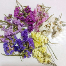 天然勿忘我干花花头零碎花苞 手工DIY材料滴胶香薰填充装饰花材