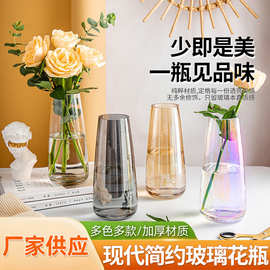 现代简约玻璃花瓶透明水养鲜花电镀花瓶高级感摆件ins风花瓶批发