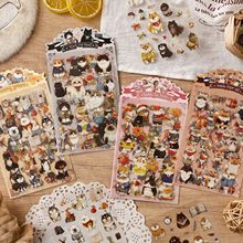 ë�q���Z͸����ˮpet�N��diy���~�羳�N���羳��ͨ����ɐ��N��