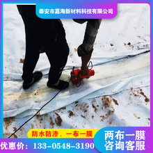 复合土工膜两布一布一膜蓄水池鱼塘水库河道人工湖防水防渗土工膜