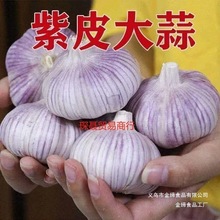 �r���ԷN�tƤ�ɴ����^����5���l���r�߲�����Ƥ�������䮔��2024