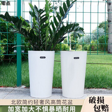 新款高圆筒花盆家用大号花盆栽客厅高级感塑料天堂鸟发财树大花盆