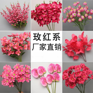 õ�tɫ��c��ϵ��Y�û���ӆ�鱳��·���廨����b�ˇ�Ż�