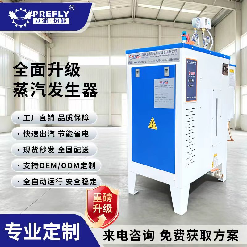 Small 3000W Electric Steam Generator Ironing Equipment Commercial Steam Iron Boiler Constant Temperature Fast Steam Output