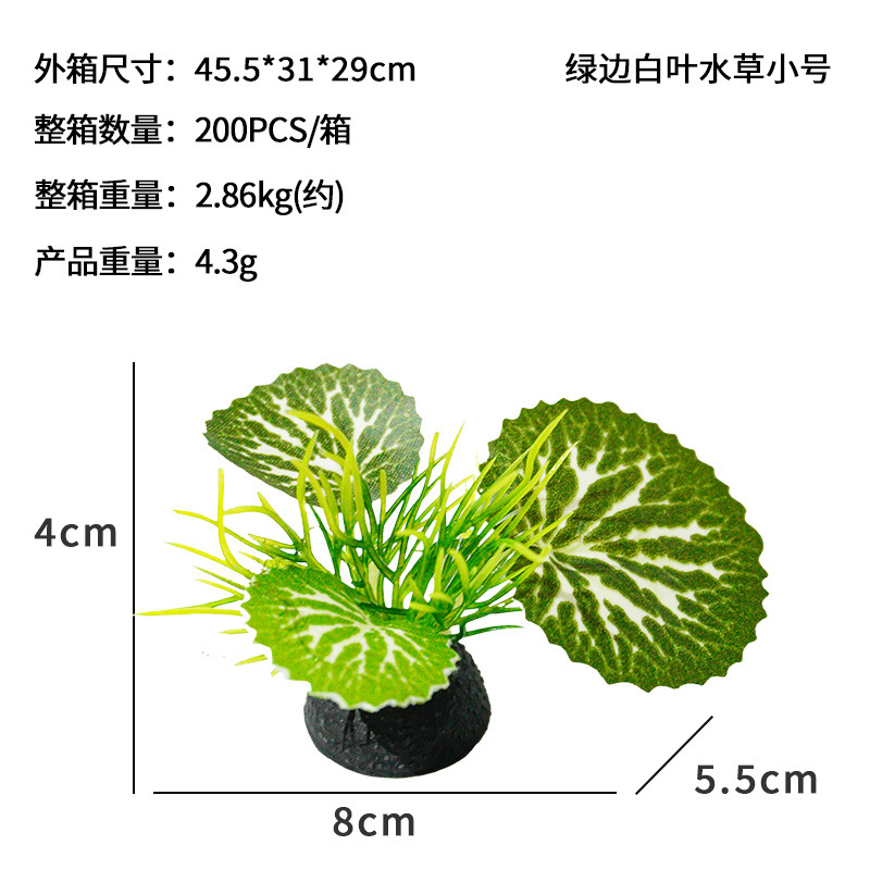 Hierba de hoja blanca con borde verde