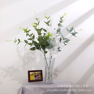 �����~���y���~�Ҿ��b�ֲ�� ���ڒ��ٗl ��ˇ�廨 �ٻ� �������l
