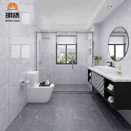 地面砖;内墙砖;其他瓷砖