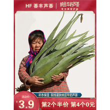 �����������J�C����ֲ������Ժ�J�C���w���r���~�҃ȿ͏d�J�C����