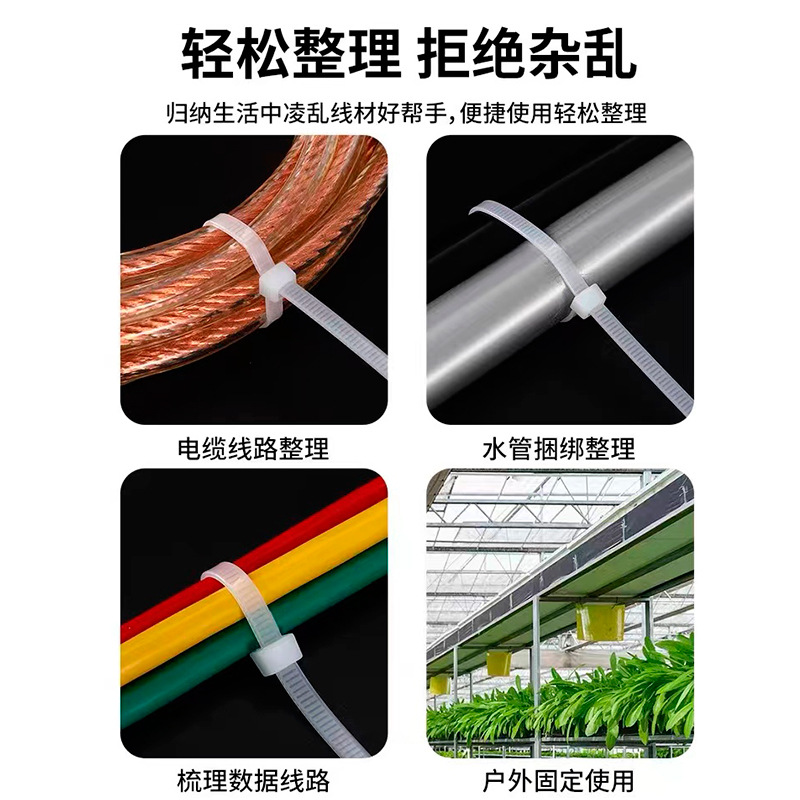 Cinturón de sujeción de nailon autobloqueante genuino Cinturón de sujeción engrosado Comercio exterior al por mayor tensor de plástico blanco Cinturón de cordón grande