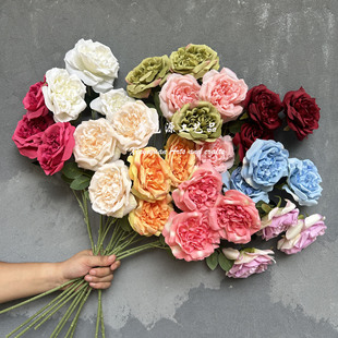 ����3�^�W˹͡��õ���c��Y���b��滨�ҾӔzӰ�b��߻���