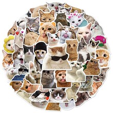 �羳С؈�N���ɐ�؈�䂀�Ԅ����b�ˮ���Pӛ����ˮ���~�T�fС�N��