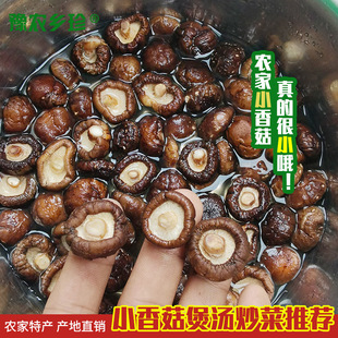 ��С�㹽���X���Ҝ��S�F�uʳ�����{��؛��񶬹��㹽�a��ֱ�l