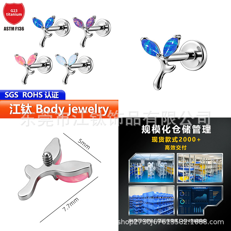 Pointed titanium steel lip stud product view