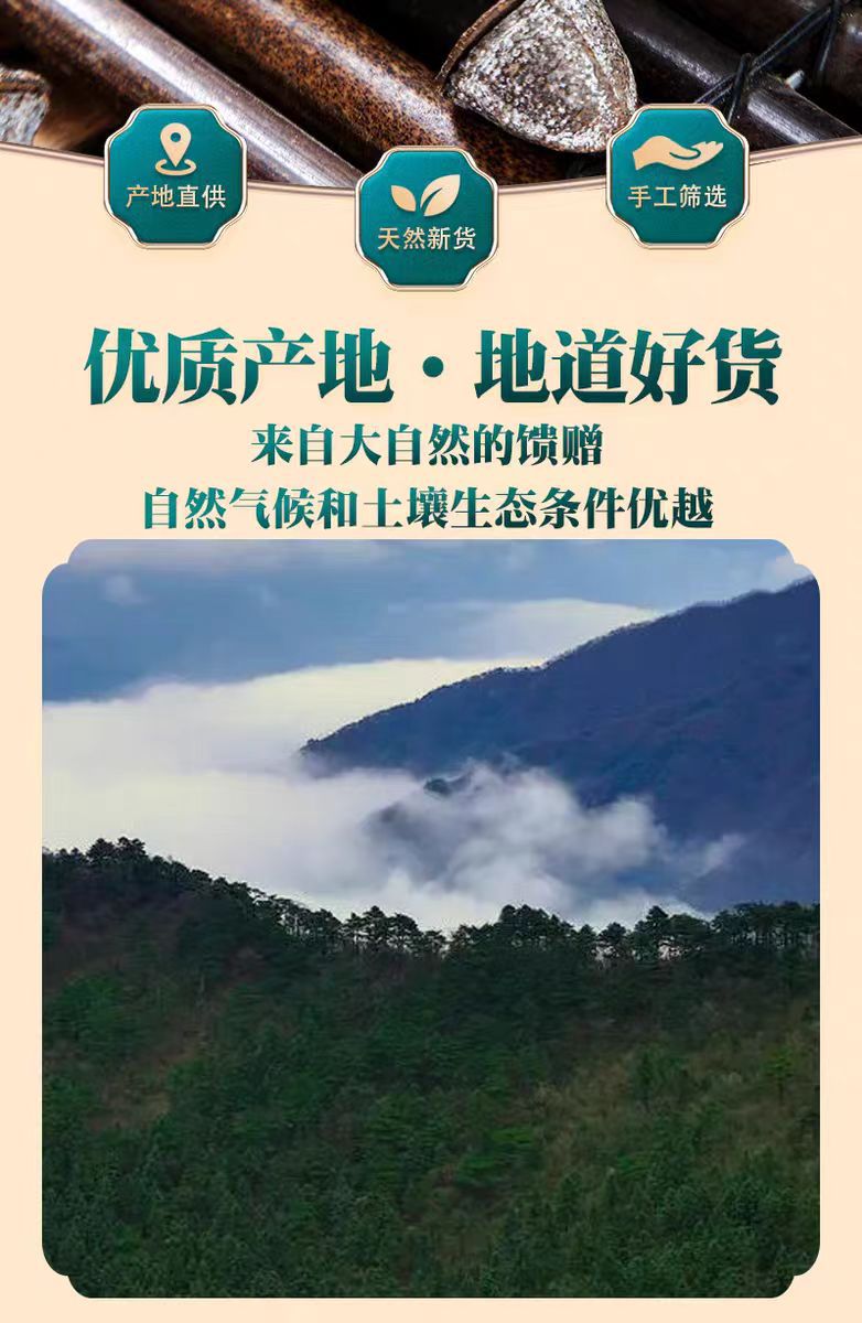 Yi Kou Zhong (Eucalyptus globulus Fruit) — Dried Blue Gum Fruit, 500g Culinary & Herbal Spice overview