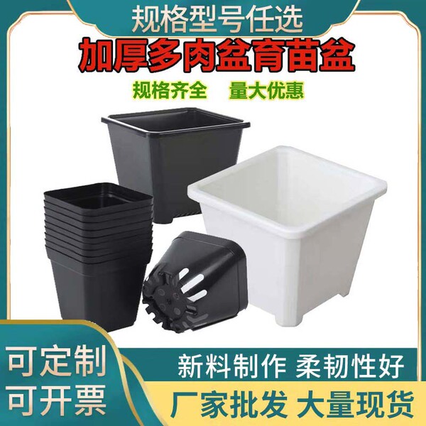 white black square flowerpot flower-shaped
