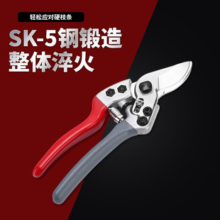 �羳�@�ֹ��߶๦�܈@ˇ���@�����֦��sk5���|�@ˇʡ����֦����