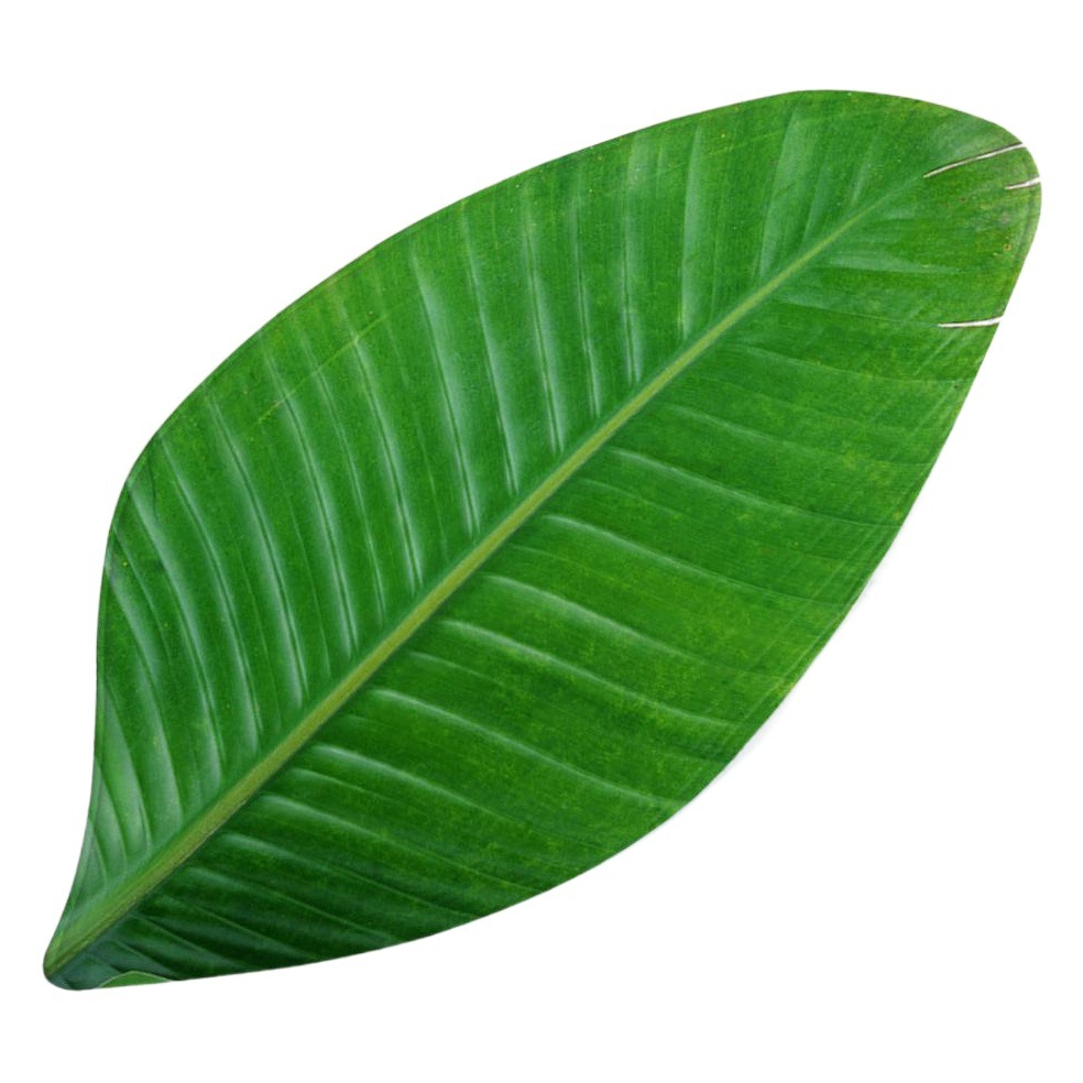 Bolsa inflable hojas en forma de moda alfombra franela hoja verde sala de estar decorativa alfombra libre de formaldehído