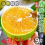 云南新鲜手剥孕妇冰糖橙