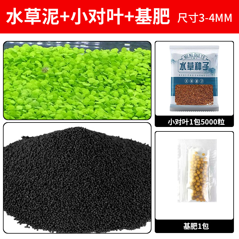 무료 작은 잎 5000개 + 기본 비료