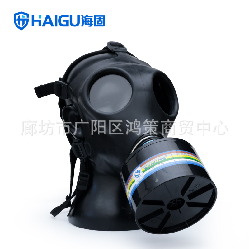 Gas mask HG-700 full face mask D2 canister gas mask set protects…