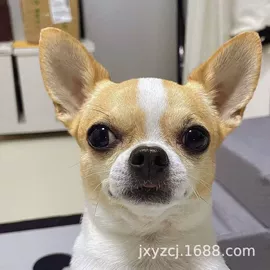 狗