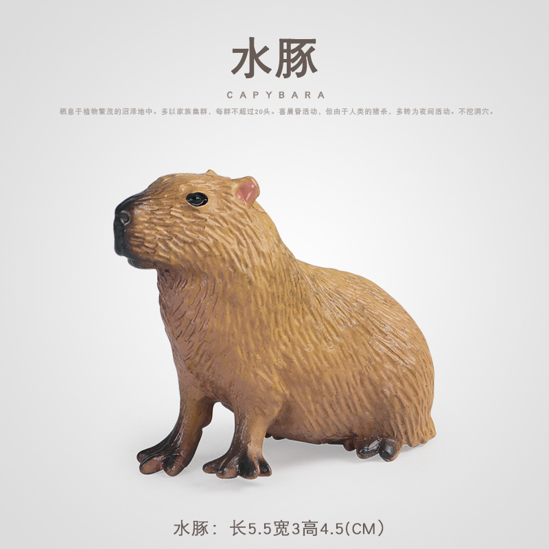 Children's Cognitive Solid Simulation Animal Toy Wildlife Model Capybara Rodentia Cavy Family Plastic Ornament